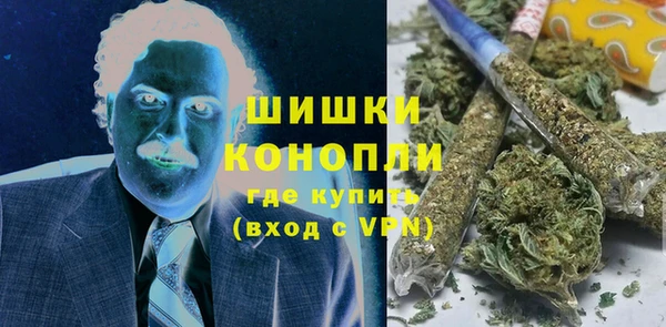 ECSTASY Белокуриха