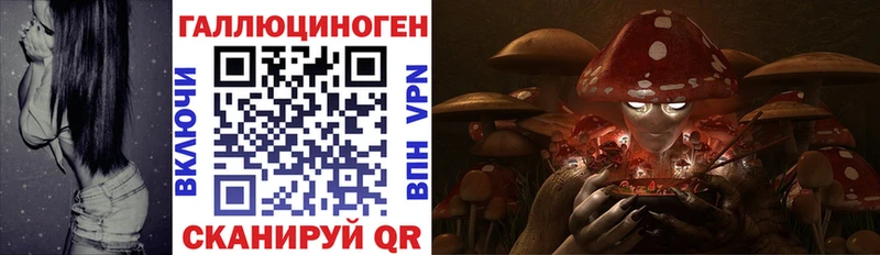 Псилоцибиновые грибы мицелий  блэк спрут   Лыткарино 